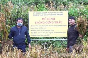 Thuận Châu thực hiện tốt các chính sách dân tộc