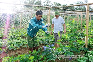 Quỳnh Nhai phát huy vai trò kinh tế tập thể