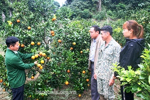 Những hạt nhân khơi “mỏ vàng” đất dốc