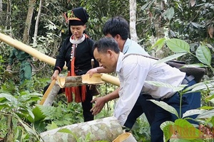 Hỗ trợ ngân sách địa phương thực hiện các chính sách an sinh xã hội