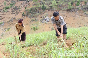 Đảng bộ xã Mường Giàng lãnh đạo phát triển kinh tế