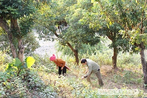 Nguồn vốn chính sách giúp người dân giảm nghèo bền vững