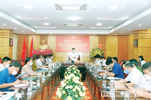 Thu ngân sách - Một năm vượt khó