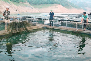 Mường La những dự định tốt lành