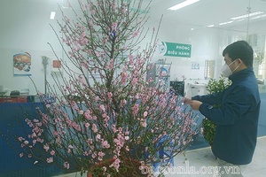 Đón Tết trong khu cách ly điều trị bệnh nhân F0