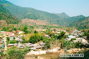 Xuân trên dẻo cao Mường Lèo