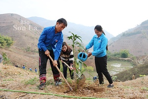 Trồng cây đầu xuân gắn với bảo vệ rừng