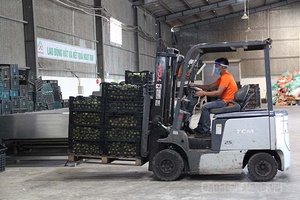 Xuất khẩu nông sản - Định vị thương hiệu sản phẩm