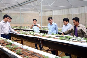 Tỏa sáng tư tưởng, đạo đức, phong cách Chủ tịch Hồ Chí Minh