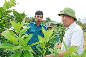 Xuân mới Chiềng Khay