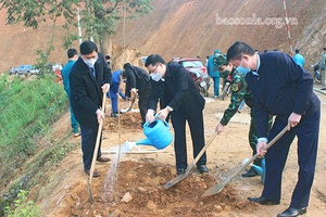 Mai Sơn ra quân trồng cây đầu xuân