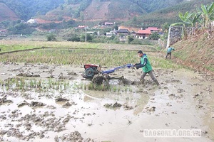 Nỗ lực để có những mùa vàng bội thu