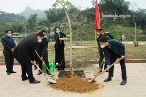 Thuận Châu phấn đấu trồng 50.000 cây phân tán
