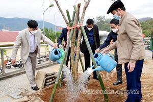 Mường La ra quân trồng cây và làm thủy lợi mùa khô