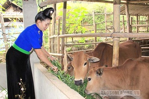 Một ngày ở bản Song