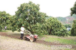 Học và làm theo Bác với các khâu đột phá