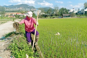 Sốp Cộp đầu tư xây dựng hệ thống thủy lợi