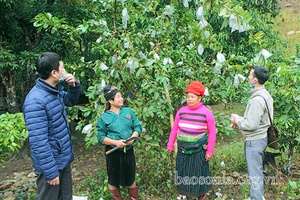 Công tác xóa đói, giảm nghèo ở huyện vùng cao