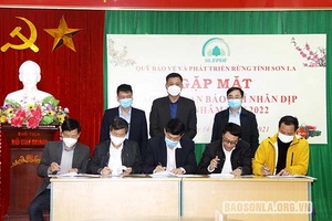 Tăng cường phối hợp tuyên truyền, phổ biến chính sách chi trả dịch vụ môi trường rừng