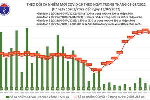 Ngày 13/2, Việt Nam có 26.379 F0 mới