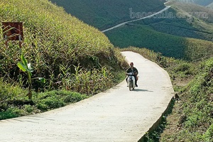 Khởi sắc vùng quê Bó Hoi