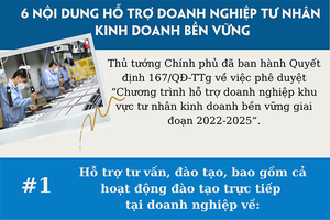 6 nội dung hỗ trợ doanh nghiệp tư nhân kinh doanh bền vững