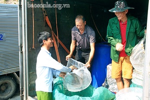 Làm giàu trên vùng hồ