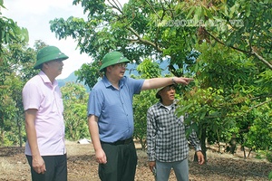 Phát triển mạnh kinh tế tập thể