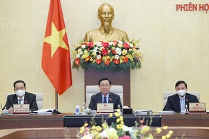 Tổng kết công tác Hội đồng nhân dân các tỉnh, thành phố trực thuộc Trung ương năm 2021