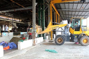 Tháo gỡ vướng mắc để HTX ổn định SXKD