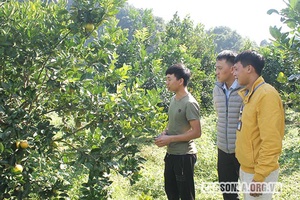 Tiếp sức để nông dân thoát nghèo