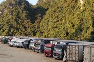Tiếp tục tạm dừng tiếp nhận phương tiện chở hoa quả tươi đến các cửa khẩu đường bộ tỉnh Lạng Sơn