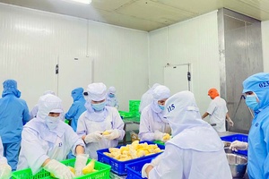 Đẩy mạnh xuất khẩu nông sản chính ngạch sang Trung Quốc