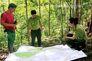 Chiềng Hặc bảo vệ rừng mùa khô hanh