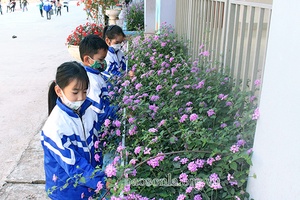 Xây dựng trường học xanh - sạch - đẹp - an toàn