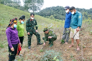 Hỗ trợ đồng bào chuyển đổi cây trồng, vật nuôi