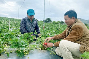 Nâng cao năng lực lãnh đạo gắn với củng cố hệ thống chính trị ở cơ sở