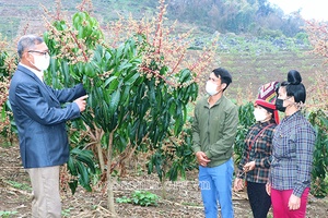 HTX của bản - mô hình mới