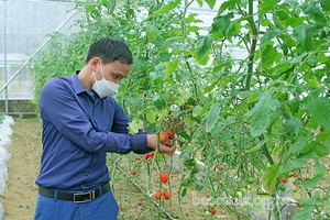 Mường Do triển khai nhiều mô hình sản xuất hiệu quả
