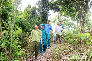 Giữ xanh rừng bằng hương ước