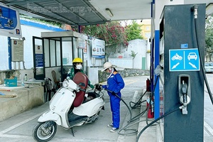 Toàn tỉnh có 159 cửa hàng kinh doanh xăng dầu