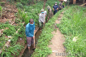 Chiềng Khoong đảm bảo nguồn nước cho lúa xuân