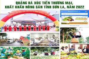 Quảng bá xúc tiến thương mại, xuất khẩu nông sản tỉnh Sơn La, năm 2022