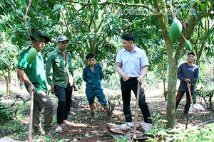 Yên Châu học và làm theo Bác