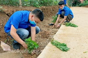 Đồng hành cùng đoàn viên, thanh niên lập thân, lập nghiệp