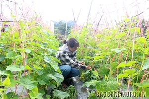 Nâng cao chất lượng nguồn nhân lực nông nghiệp, nông thôn