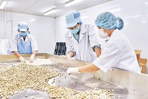 Từ 1/4: Thực hiện điều tra lao động, tiền lương và mức sống tối thiểu của người lao động