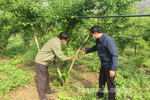 Đồng bào dân tộc thiểu số thi đua sản xuất để thoát nghèo