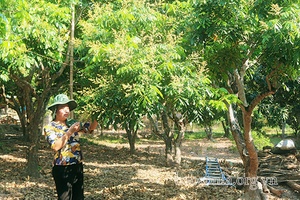 Phát huy hiệu quả nguồn vốn ủy thác
