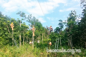 Bảo đảm an toàn hành lang lưới điện